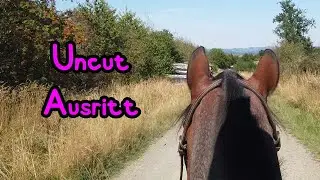 Von Holzlaster verfolgt 😱 🦄 Uncut Ausritt mit Joey