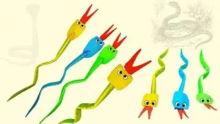 How To Make Easy Paper SNAKE | Amazing Paper Snake | Toys Snake | DIY Crafts/ Easy-Craft