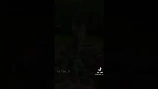 Cute VS Dangerous Cats☠️ #SHORT