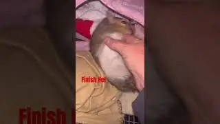 #Mortal Kombat 2: #Squirrel Style 😆🐿❤️