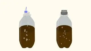 Fizzlock - Saves Fizz upto 10x longer