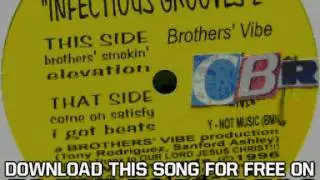Brothers' Vibe Infectious Grooves 2 Brothers' Smokin'
