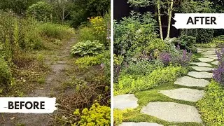 9 Groundcover Plants That Fill Empty Garden Spaces 🌿