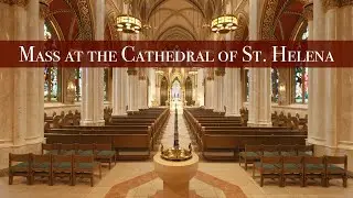 Wednesday 12.31.25 Daily Mass (12PM) at the Cathedral of St. Helena