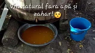 Cum tragem vinul in butoi pentu iarna