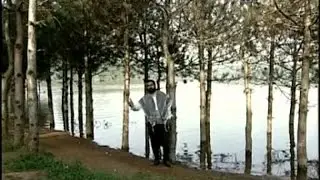 Kısmet Yıldız - Meymo