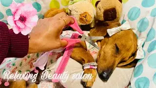 ASMR | RELAJANTE SALÓN DE BELLEZA 🎀💤