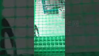 Plastic square mesh  for garden