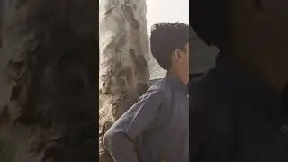 Flood affected people living in tent city Sindh, Pakistan #youtube #youtubupdate