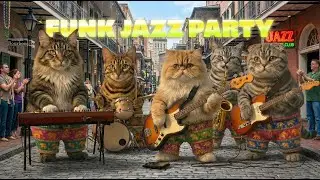3 Hours Upbeat Funk Jazz Groove 🎷 Funky Cat Band on Bourbon Street | Happy Mood Booster
