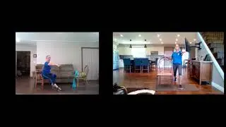 30 Minute Low Intensity Seated or Standing SMART Exercise Class