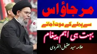 Important message / Ayatullah Syed Aqeel Ul Gharavi#fikarhussain #shiastatus 