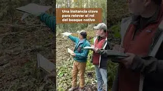 Save Date, Cumbre del Bosque Nativo