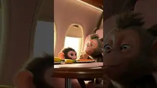 Sky High Snacks! Mama Monkey Shares Banana with Baby Mid-Flight