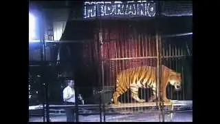 Cirque Medrano 1