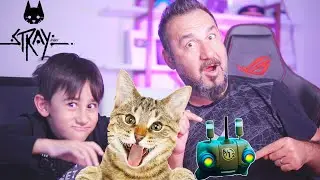 KEDİ OLDUK! ROBOT ARKADAŞ BULDUK! BİR KEDİNİN YAPABİLECEĞİ HERŞEY! | PS5 STRAY OYNUYORUZ 2. Bölüm