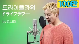 유우리 - 드라이플라워 [ドライフラワー]🎵