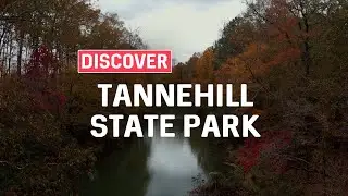 Discover Tannehill State Park in McCalla, AL