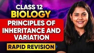 🔥Principles of Inheritance and Variation ONE SHOT  Class 12 Biology | Shipra Mam #class12