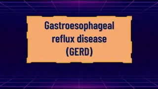 Quiz 23 Gastroesophageal reflux disease GERD