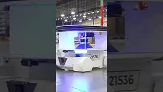 Vector Safety (Spanish)