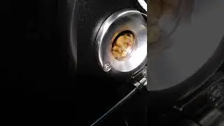 EverRoast 10 KG Coffee Roaster Video 2