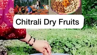 Chitrali Dry fruits