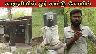 காஞ்சியில் ஓர் காட்டு கோயில் | a forest temple in kanchi | #kanchi #kanchitemple #temple