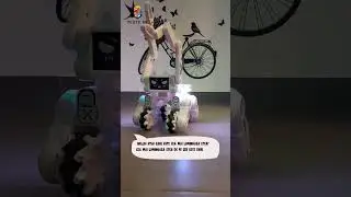 Robot spatial multifunctional