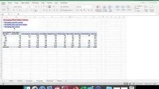 Chapter 7 PivotTables
