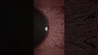 1000Xzoom ofeye ⚕️👁️😱 closer view of our eye with 1000Xzoom #shorts #trending