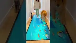 😂🐾🐟300 IQ Cat vs Dog&hellip; and Then Everyone Falls Who Wins The Smartest Battle #funny #pets #animals