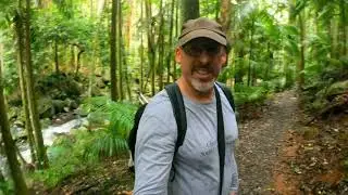 Curtis Falls Walking Track - December 2021