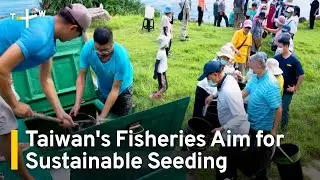 Taiwan's Fisheries Aim for Sustainability When Seeding Seas | TaiwanPlus News