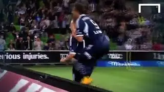 Seagulls invade pitch during Pain's goal!