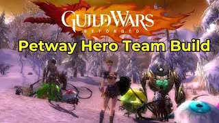 Сборка команды Petway Hero