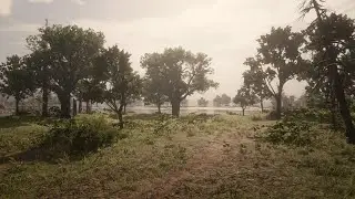 RDR 2 | Every Camp Interactions | Chapter 3 (Rare Encounters)