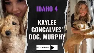 Update on Murphy, Kaylee Goncalves&rsquo; dog   #idaho4