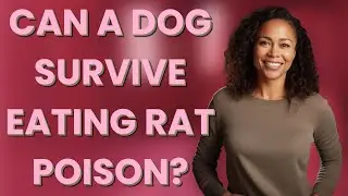 Can a dog survive eating rat poison?