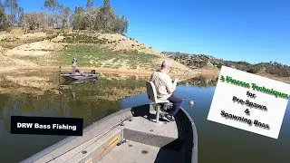 3 Finesse Techniques for Pre-Spawn and Spawning Bass