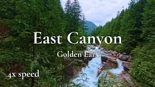 4x Speed Hike | Golden Ears East Canyon & Upper Falls Loop 🌲