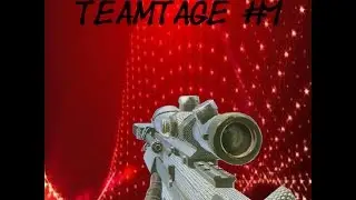 TeamTage Cod Black Ops #1