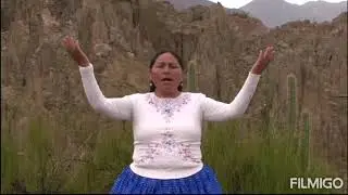 CORONA DE ORO