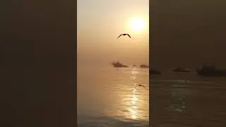 Sunrise from Sea | M2M ferry #sunrise #sunshine #morningmotivation #ferries#Mandva  #mumbaitoalibaug