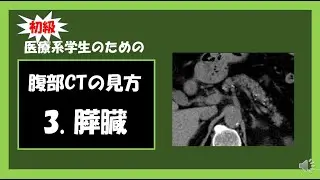 【医療系学生】初心者向き腹部CT 3.膵臓