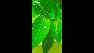 💧💧💧Beautiful water drops 💧💧💧