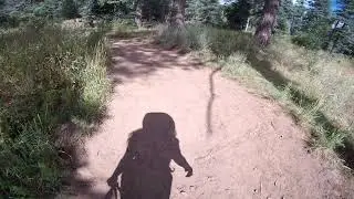 The Climb Begins!- The Start of Tree Spring Trail