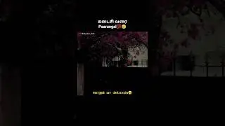 அல்லாஹ் போதுமானவன் | Islamic bayan | Tamil bayan | | islamic whatsapp status | #motivation #allbayan