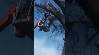 J & J Tree Service & More(3)