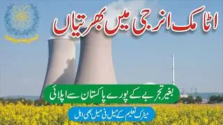 Pakistan Atomic Energy Jobs 2026 - How To Apply Online Atomic Energy Jobs - HRD1902 - PAEC Vacancy